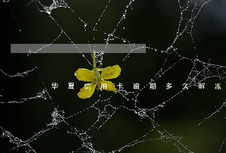 华夏信用卡逾期多久解冻 华夏信用卡逾期多久解冻