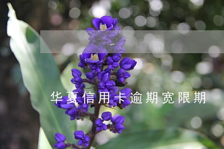 华夏信用卡逾期宽限期 华夏信用卡逾期宽限期