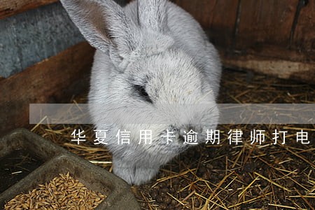华夏信用卡逾期律师打电话 华夏信用卡逾期律师打电话