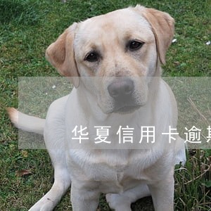 华夏信用卡逾期必须还全款吗 华夏信用卡逾期必须还全款吗