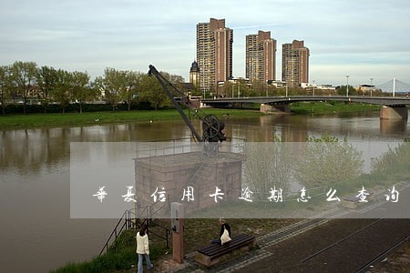 华夏信用卡逾期怎么查询 华夏信用卡逾期怎么查询
