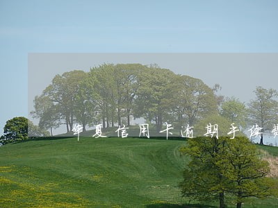 华夏信用卡逾期手续费