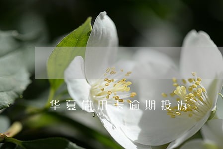 华夏信用卡逾期投诉 华夏信用卡逾期投诉