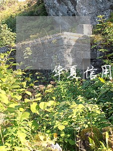 华夏信用卡逾期时间 华夏信用卡逾期时间