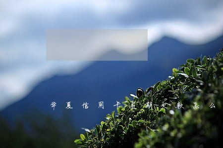 华夏信用卡逾期欠款怎么办 华夏信用卡逾期欠款怎么办