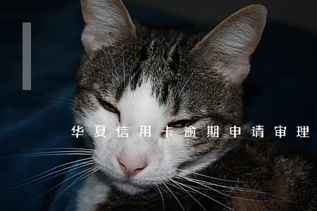 华夏信用卡逾期申请审理 华夏信用卡逾期申请审理