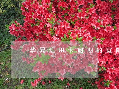 华夏信用卡逾期的宽限期是几天啊 华夏信用卡逾期的宽限期是几天啊