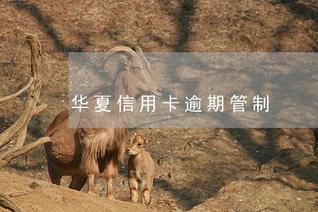 华夏信用卡逾期管制