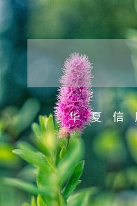 华夏信用卡逾期能不能分期 华夏信用卡逾期能不能分期