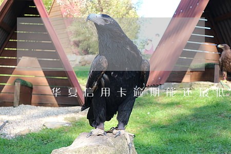 华夏信用卡逾期能还最低还款吗
