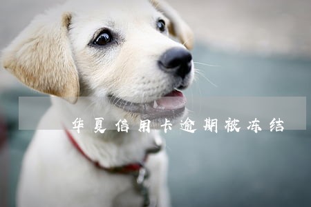 华夏信用卡逾期被冻结 华夏信用卡逾期被冻结
