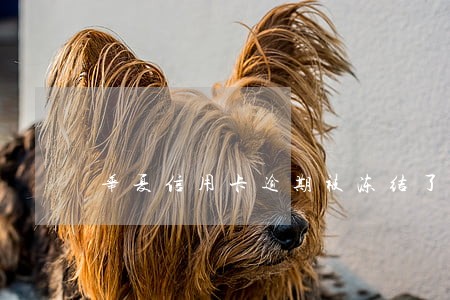 华夏信用卡逾期被冻结了