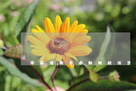 华夏信用卡逾期被起诉怎么处理 华夏信用卡逾期被起诉怎么处理