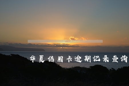 华夏信用卡逾期记录查询