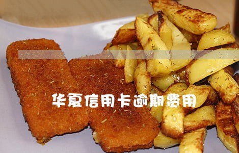 华夏信用卡逾期费用 华夏信用卡逾期费用
