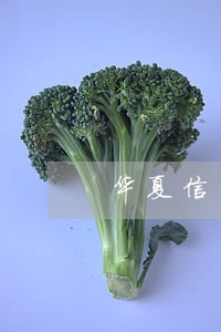 华夏信用卡逾期费用怎么查看 华夏信用卡逾期费用怎么查看