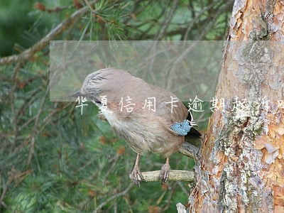 华夏信用卡逾期起诉吗 华夏信用卡逾期起诉吗