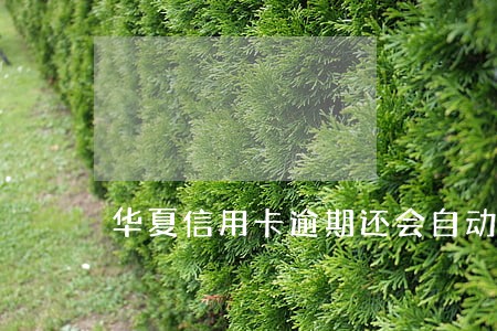 华夏信用卡逾期还会自动扣嘛 华夏信用卡逾期还会自动扣嘛