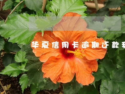 华夏信用卡逾期还款利息
