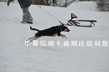 华夏信用卡逾期还款利息计算