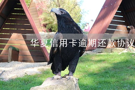 华夏信用卡逾期还款协议 华夏信用卡逾期还款协议