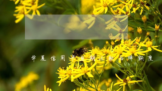 华夏信用卡逾期还款后降额度 华夏信用卡逾期还款后降额度