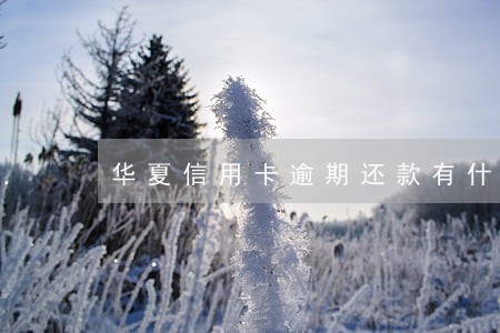 华夏信用卡逾期还款有什么影响 华夏信用卡逾期还款有什么影响