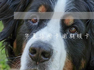 华夏信用卡逾期锁卡