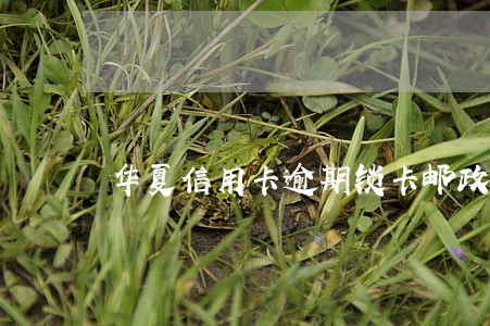 华夏信用卡逾期锁卡邮政 华夏信用卡逾期锁卡邮政