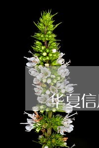 华夏信用卡降额逾期 华夏信用卡降额逾期