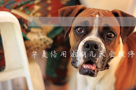 华夏信用逾期几天会被停卡 华夏信用逾期几天会被停卡