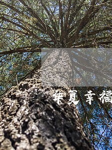 华夏幸福52亿债务逾期 华夏幸福52亿债务逾期