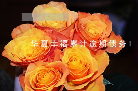 华夏幸福累计逾期债务1013亿 华夏幸福累计逾期债务1013亿