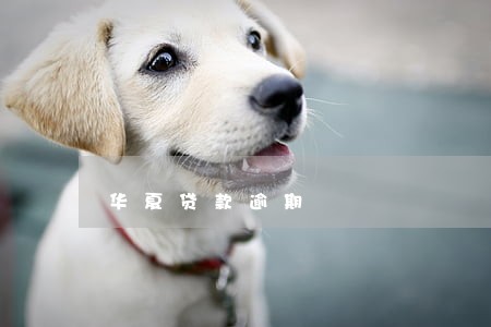 华夏贷款逾期 华夏贷款逾期