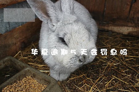 华夏逾期5天会罚息吗 华夏逾期5天会罚息吗