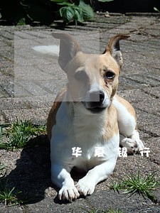华夏银行150万贷款逾期事件 华夏银行150万贷款逾期事件