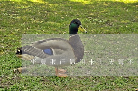 华夏银行信用卡七天算不算逾期