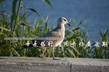 华夏银行信用卡协商逾期一期
