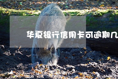 华夏银行信用卡可逾期几天 华夏银行信用卡可逾期几天