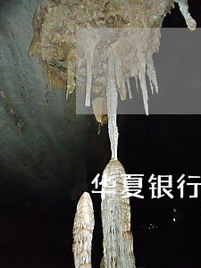 华夏银行信用卡有没有逾期 华夏银行信用卡有没有逾期
