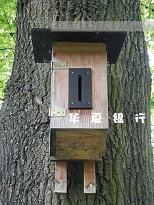 华夏银行信用卡还款逾期6天 华夏银行信用卡还款逾期6天