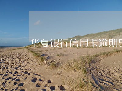 华夏银行信用卡逾期5天 华夏银行信用卡逾期5天