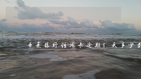 华夏银行信用卡逾期5天多少费用 华夏银行信用卡逾期5天多少费用