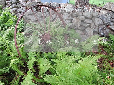 华夏银行信用卡逾期8个月冻结了 华夏银行信用卡逾期8个月冻结了