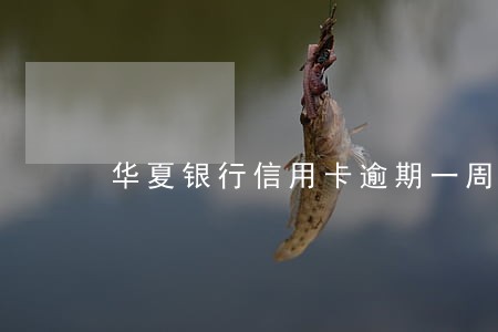 华夏银行信用卡逾期一周支付 华夏银行信用卡逾期一周支付