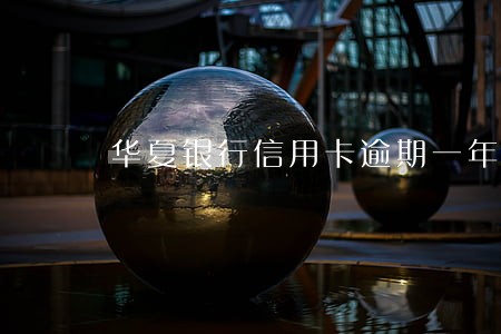 华夏银行信用卡逾期一年怎么样 华夏银行信用卡逾期一年怎么样