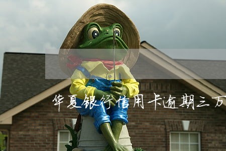 华夏银行信用卡逾期三万 华夏银行信用卡逾期三万