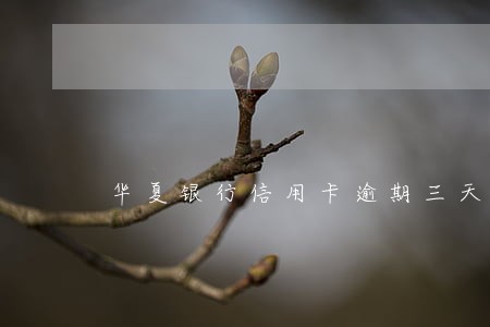 华夏银行信用卡逾期三天怎样 华夏银行信用卡逾期三天怎样