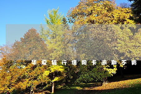 华夏银行信用卡逾期不肯协商