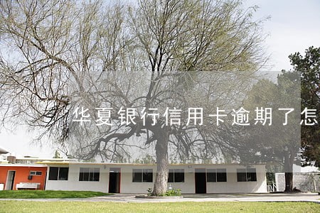 华夏银行信用卡逾期了怎么贷 华夏银行信用卡逾期了怎么贷